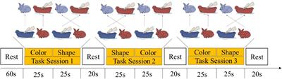 Enhancing Chinese preschoolers’ executive function via mindfulness training: An fNIRS study